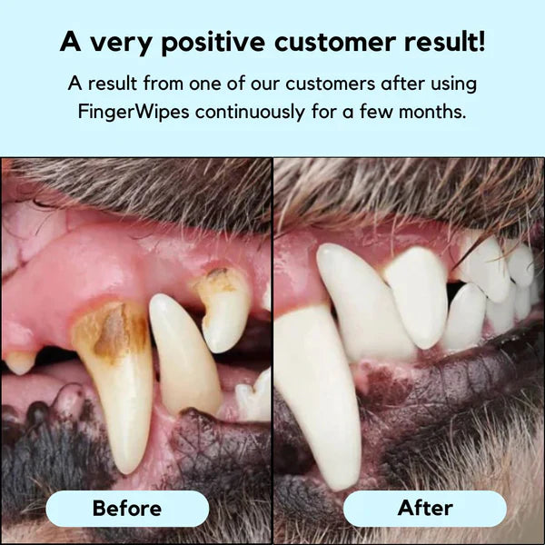 Dental Finger Wipes For Pets