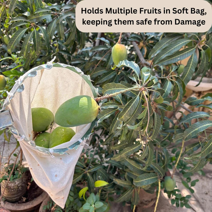 Fruit Picker with Basket
