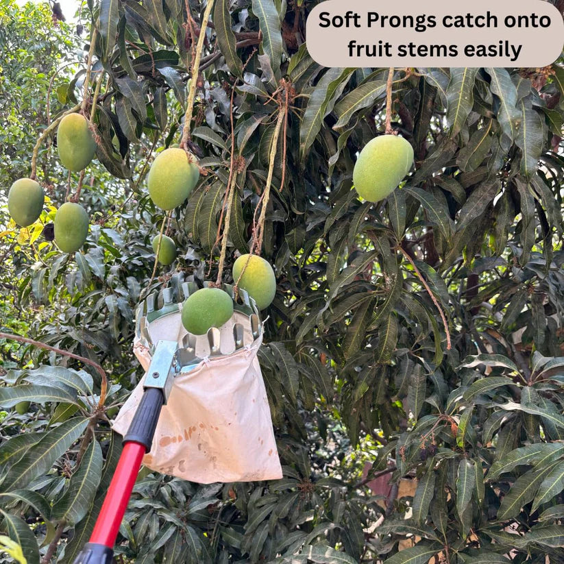 Fruit Picker with Basket