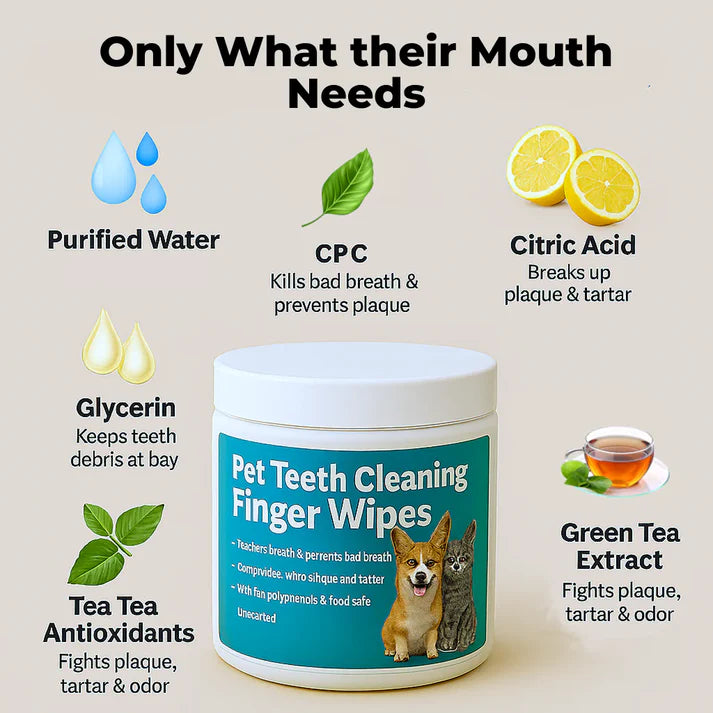 Dental Finger Wipes For Pets