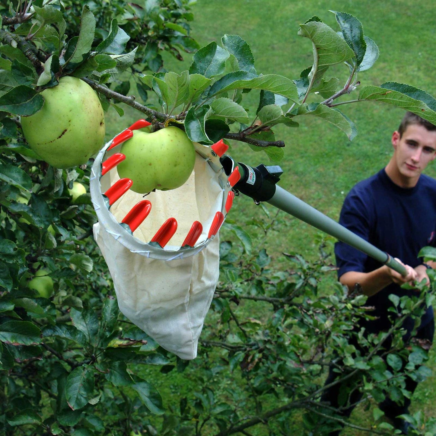 Fruit Picker with Basket